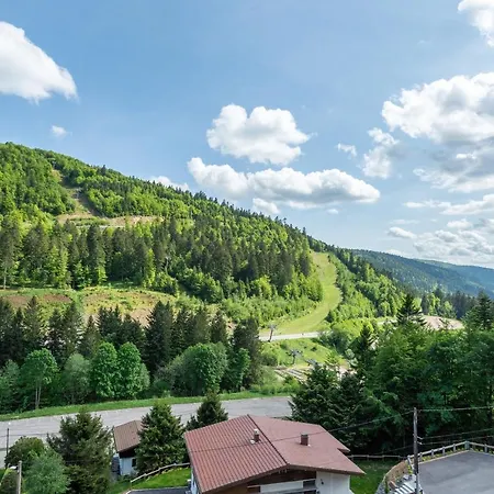 Le Petit Sapin Apartmán La Bresse