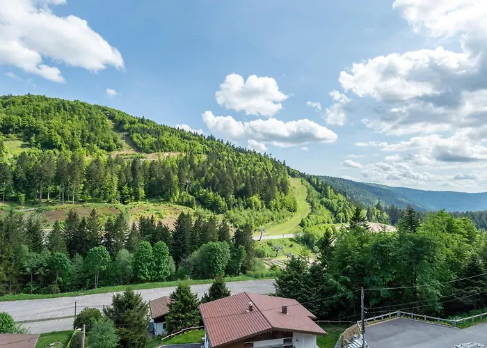 Le Petit Sapin Apartmán La Bresse